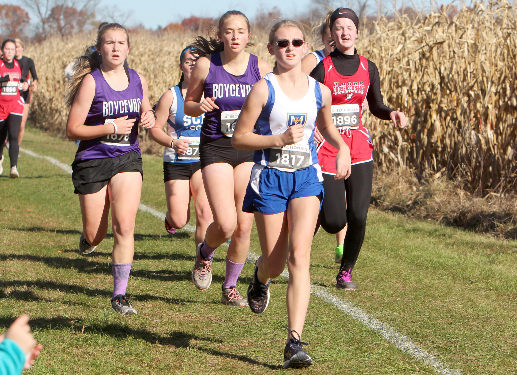 Division 3 Cross Country Sectionals in Boyceville 10-26-19